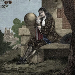 Isaac Newton observing an apple fall to the ground while seated beneath a tree
