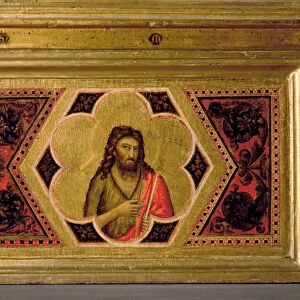 John the Baptist, from the Coronation of the Virgin Polyptych (middle left predella) (see also 66540-66551)