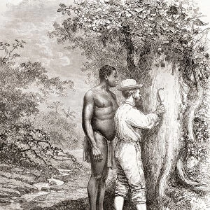 Jules Crevaux, during his exploration of French Guiana in 1878, carving his initials