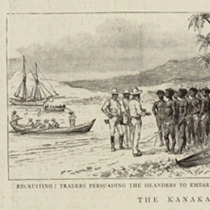 The Kanaka Labour Question in Queensland (engraving)