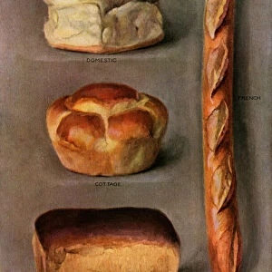 Four Kinds of Baked Breads, 1911 (screen print)