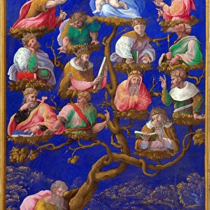 "L arbre de Jesse"Peinture de Gerolamo Genga (1476-1551) vers 1535 Londres, National gallery