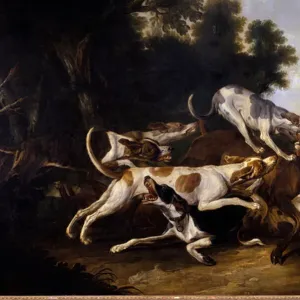 L hallali du deer Hunting dogs finishing a deer - Painting by Jean Baptiste Oudry (1686-1755) 18th century Sun 2, 35x3, 26 m Pau, Musee des Beaux Arts