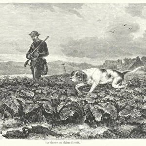 La chasse au chien d arret (engraving)