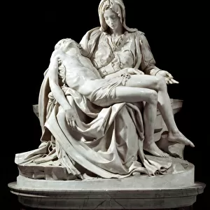 Michelangelo Buonarroti Collection: Renaissance art