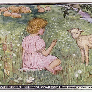 The Lamb. William Blake (colour litho)