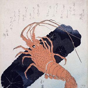 Langoustine with a Block of Charcoal, c. 1830 (colour woodblock print)