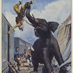 Launched into the air, overwhelmed and fatally trampled by an angry elephant (colour litho)