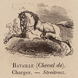 Le Vocabulaire Illustre: Bataille (Cheval de); Charger; Streitrosz (engraving)