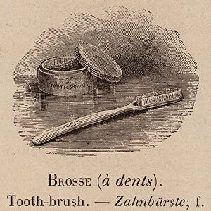 Le Vocabulaire Illustre: Brosse (a dents); Tooth-brush; Zahnburste (engraving)