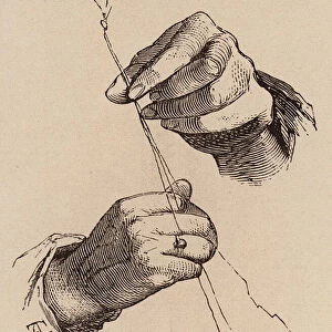 Le Vocabulaire Illustre: Main; Hand (engraving)