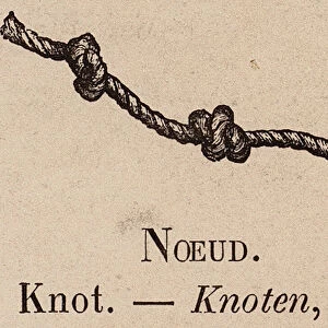 Le Vocabulaire Illustre: Noeud; Knot; Knoten (engraving)