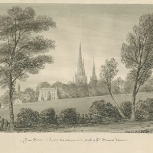 Lichfield - Stowe: sepia drawing, 1847 (drawing)