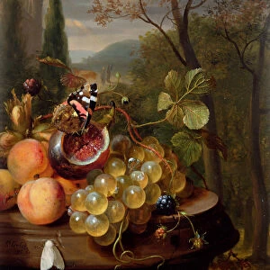 Still Life with Fruit and Butterflies