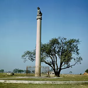 Lion Pillar of Emperor Ashoka (c. 264-223 BC) (photo)