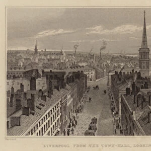 Liverpool from the Town-Hall, looking South (engraving)