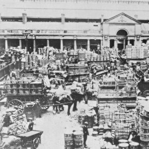 Loading Fruit at Covent Garden Market, 1900 (b / w photo)