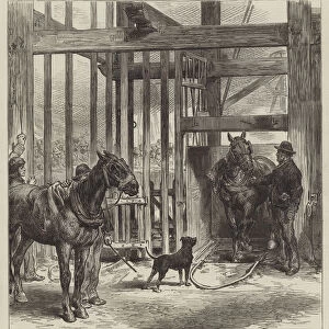 The Lock-Out in South Wales, bringing up Horses from the Castle Pit, Cyfarthfa (engraving)