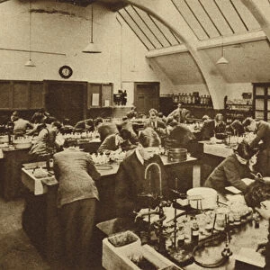 A London Polytechnic laboratory (b / w photo)