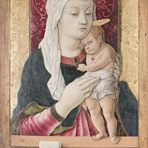 Madonna and Child, c. 1468 (tempera & oil on panel)
