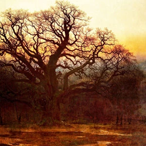 Major Oak, Sherwood Forest, Nottinghamshire, 1882 (oil on canvas)
