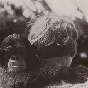 Man and chimpanzee (b / w photo)