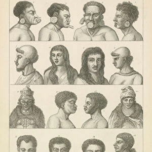 Man. Varieties of the human race (engraving)