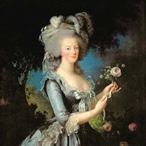 Marie Antoinette with a Rose, 1783 (oil on canvas)