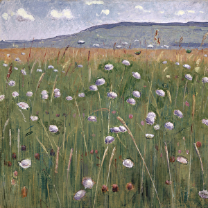 Meadow Piece, c. 1901 (oil on canvas)
