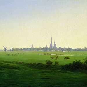 Meadows near Greifswald (oil on canvas)