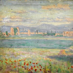 Mediterranean landscape with poppies in foreground and walled town in background