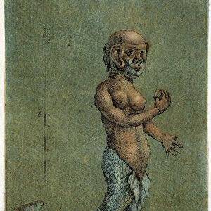 Mermaid-headed - in "Periodic Observations sur la physique