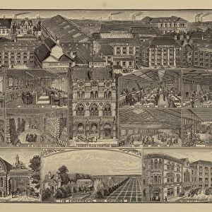 Messrs Sutton and Sons, Reading (engraving)