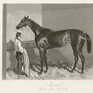 Miami, foaled 1844 (b / w photo)