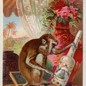 Monkey with a Bottle (chromolitho)