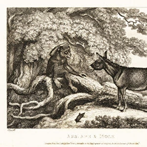 A monkey and a donkey moan until a mole silences them. 1811 (etching)