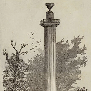 Monument to the Duke of Bridgewater, at Ashridge, the Seat of Earl Brownlow (engraving)