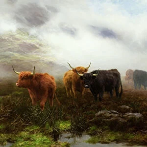 Farm Cushion Collection: Cattle
