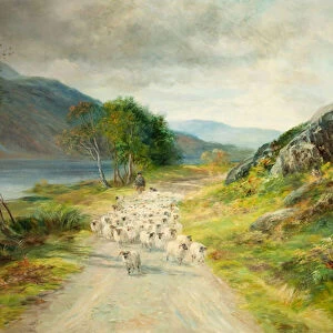 The Mountains of Moidart (oil on canvas)
