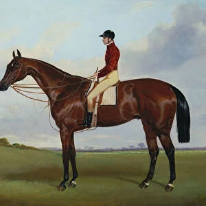 Mrs S. Wrathers Nutwith, with J. Marson Up, 1843 (oil on canvas)