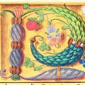 Ms 134 Illuminated letter P decorated with flowers, from a Book of Hours, c
