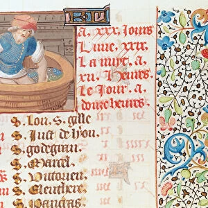 Ms 134 September: Trampling Grapes, from a Book of Hours (vellum)