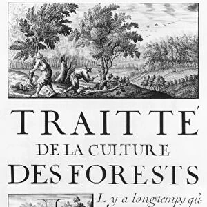 Ms 260 volume IV Frontispiece of Treat de la culture des Forets from