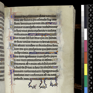 MS 300 f. 68r, folio from the Psalter and Hours of Isabella of France, Paris, c