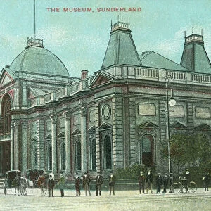 The Museum, Sunderland (photo)