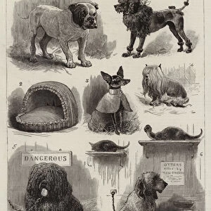 National Show of Sporting and other Dogs at Birmingham (engraving)