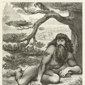 Nebuchadnezzar dwelling with the beasts of the field (engraving)