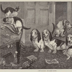 A New Dog-Fancy, the Bassett Hounds (engraving)