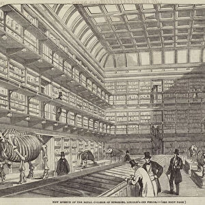 New Museum of the Royal College of Surgeons, Lincoln s-Inn Fields (engraving)