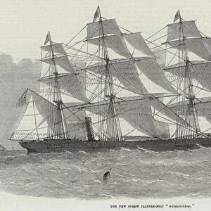 The New Screw Clipper-Ship "Khersonese"(engraving)
